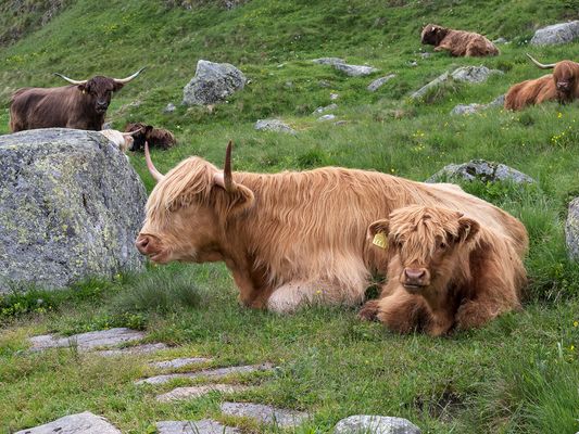 059 Herbstwanderung_Heinz Schaub