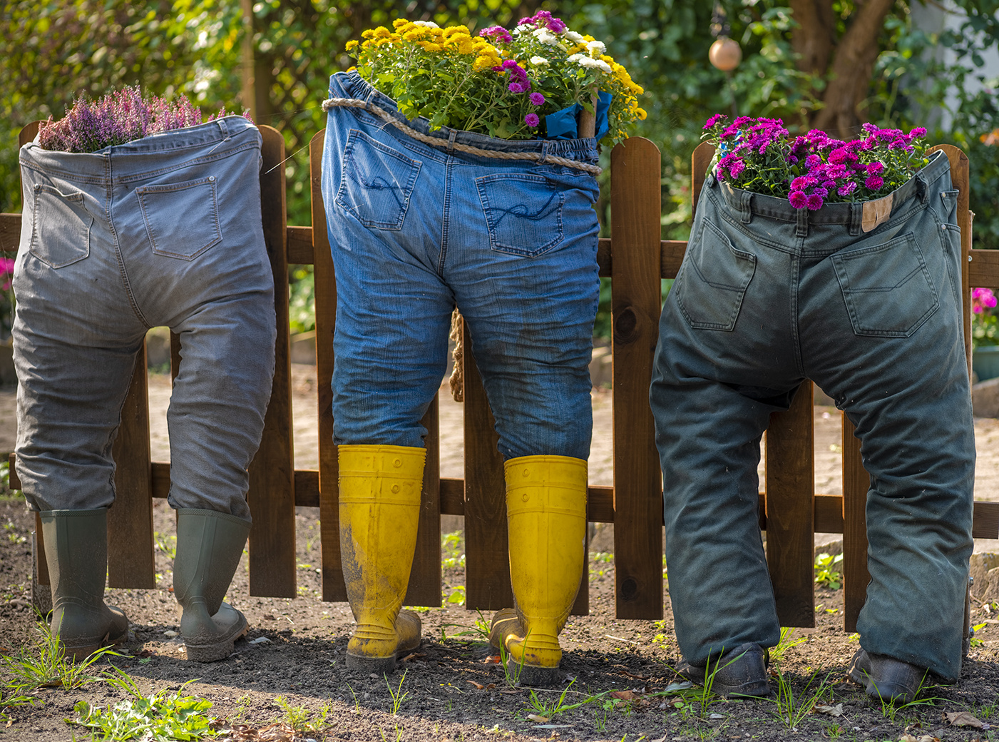 0595SC volle  Hosen am Gartenzaun