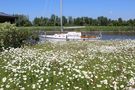 Am Vareler Hafen von Bernd Delang