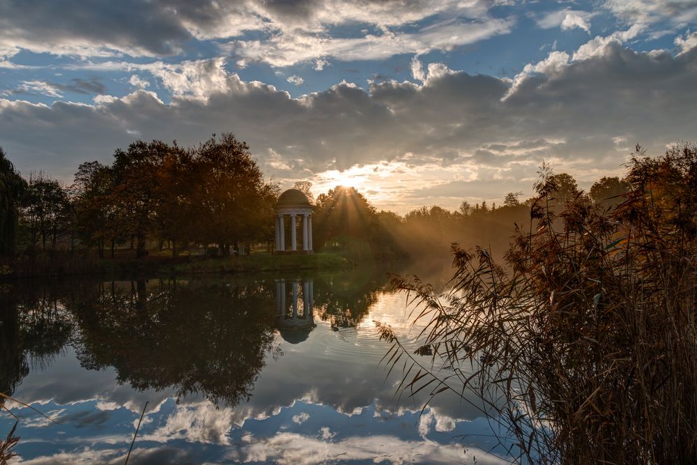 Lichtspiele im Park  von Tommy Rühle