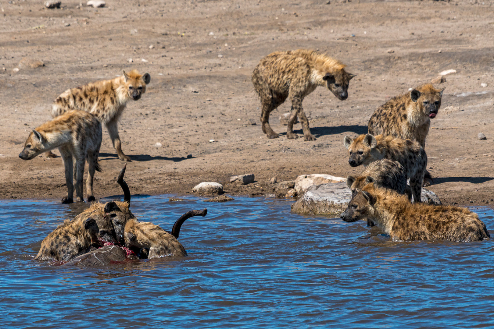 05_Erinnerung an Namibia April 2017