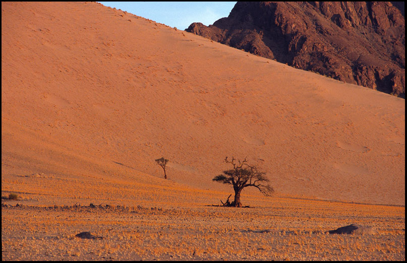 05Namibia-Little Kulala01