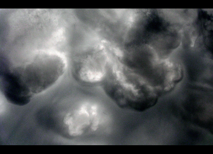 #06 / Gewitterwolken-Innereien