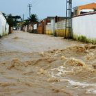 06. MÄRZ 2010. MEINE STRASSE; NICHT DIE STRASSE VON GIBRALTAR