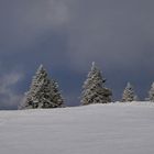 06.01.2022 ein Sonnentag in der Rhön