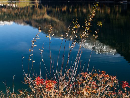 062 Am See_Heinz Schaub