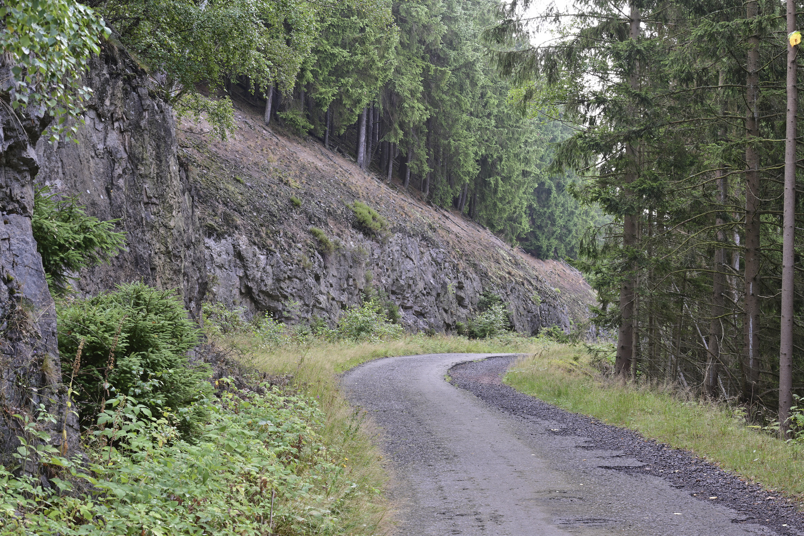 063 Wanderweg (unbearbeitet)