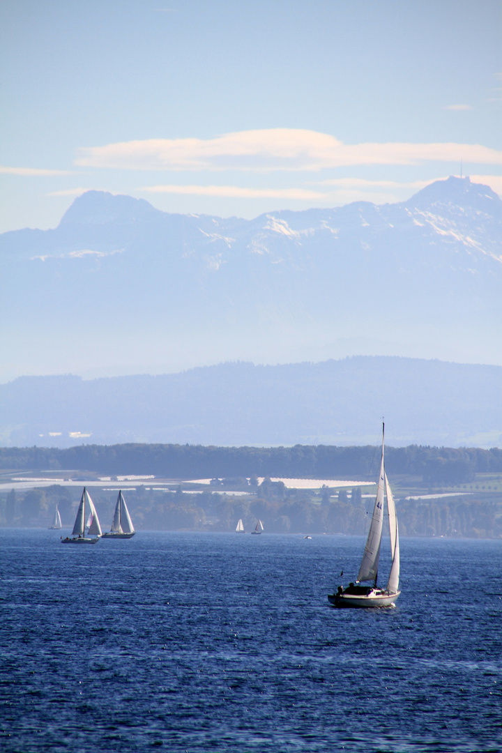 064_Sailboats On Lake Constance_IMG_3127