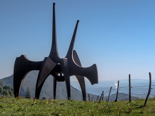 066 (38) Auf der Weide_Heinz Schaub