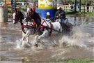 Internationales Fahrturnier von Rainer Willenbrock