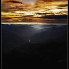 06846 - Sequoia Sunset