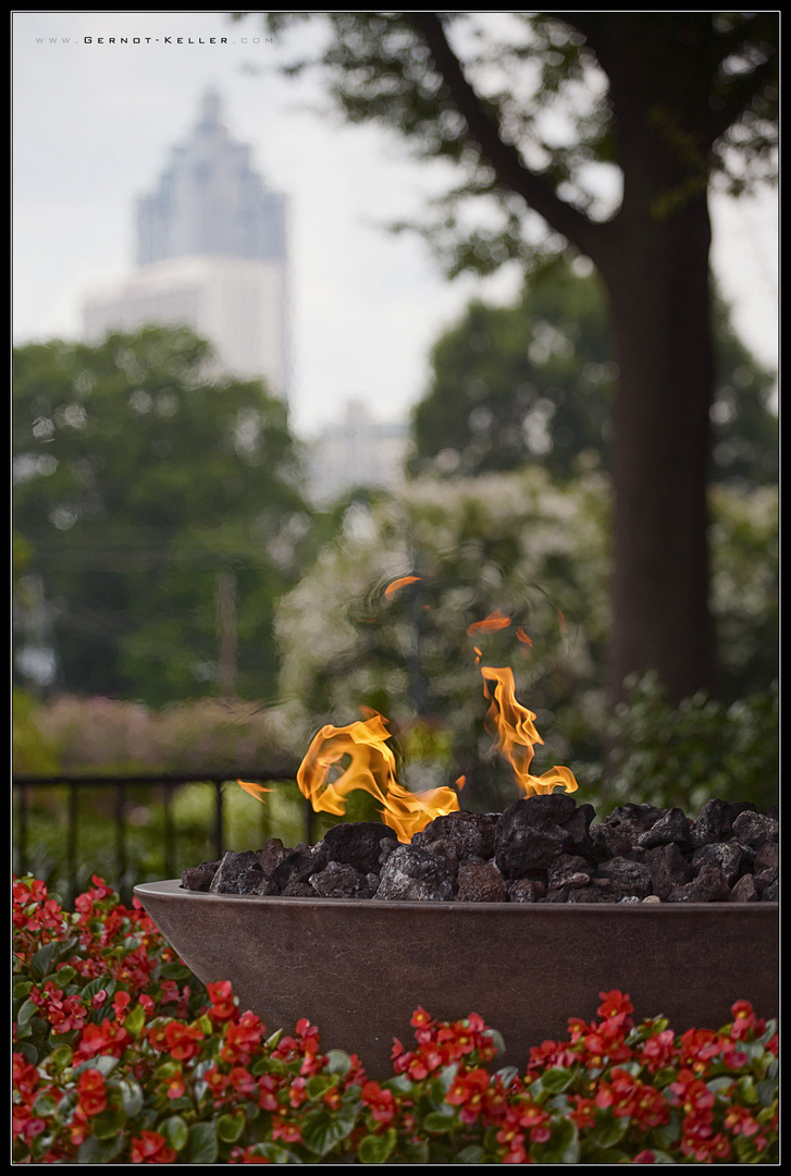 06874 - The Eternal Flame in Atlanta