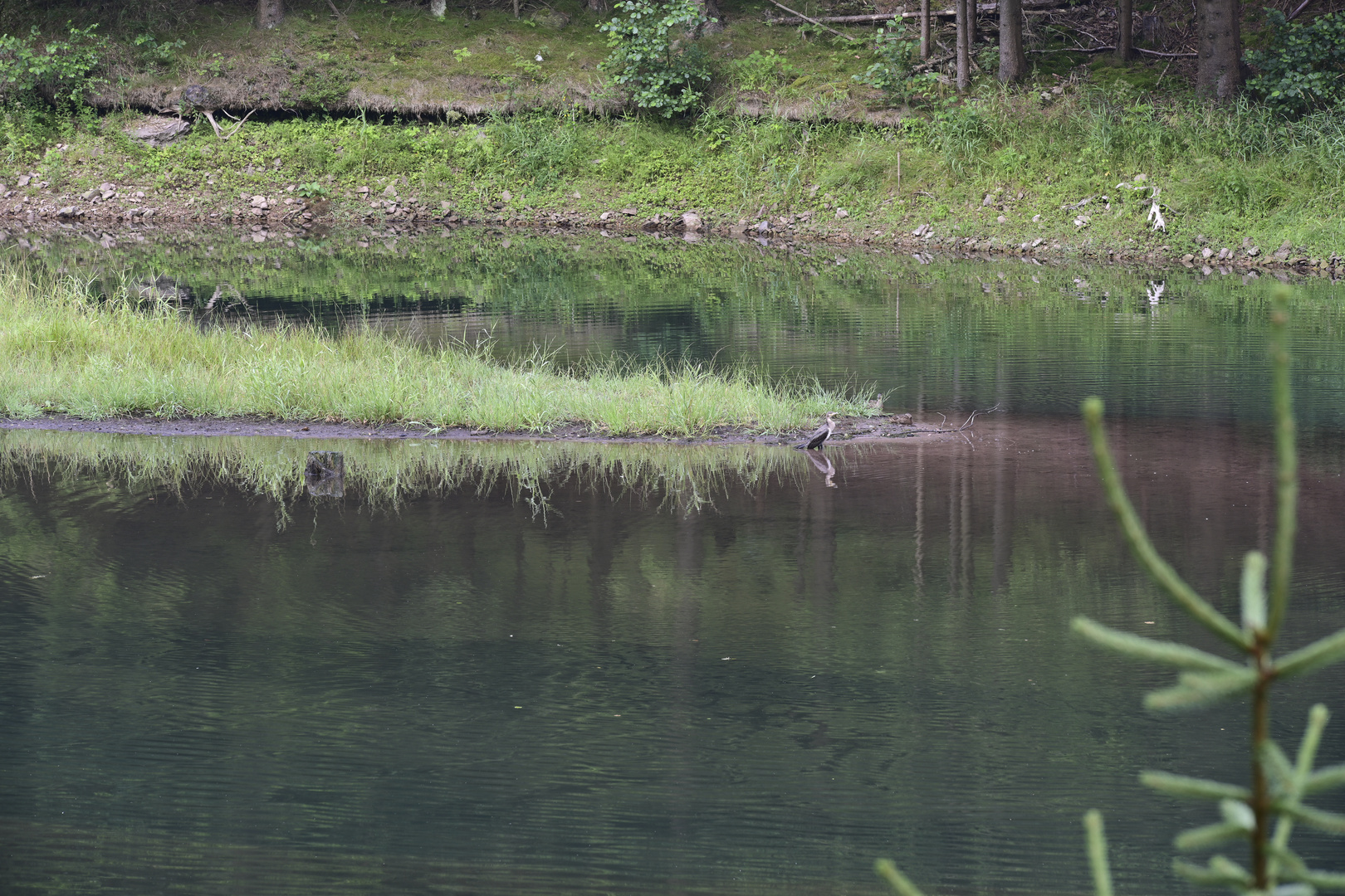 069 Kleine Biotope (unbearbeitet)