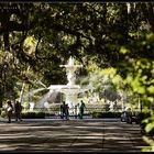 06973 - Savannah