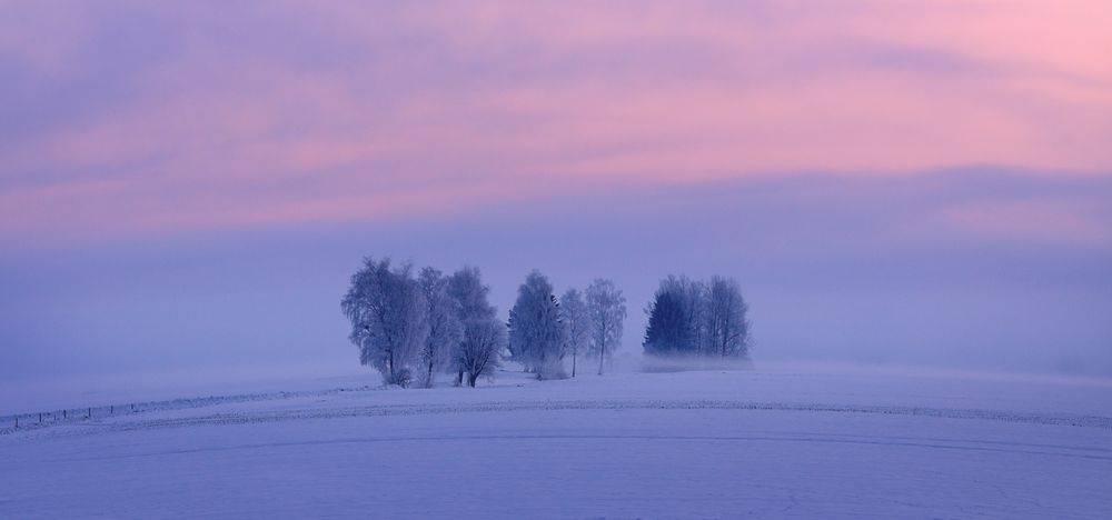 Wintermorgen von Barbara Er