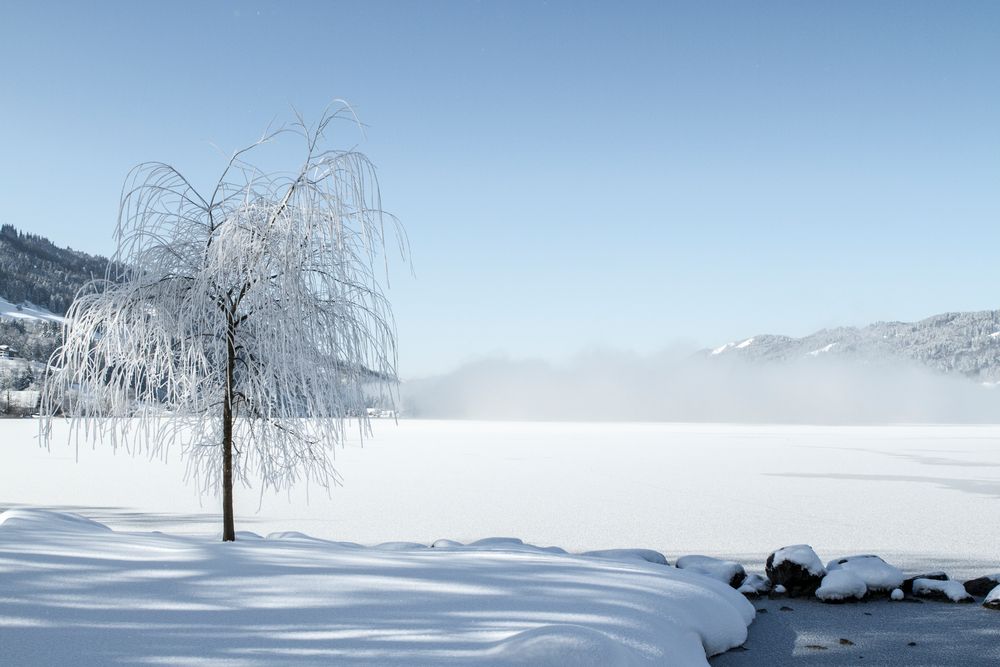 See Winterlandschaft von Fotoca