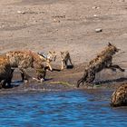 06_Erinnerung an Namibia April 2017