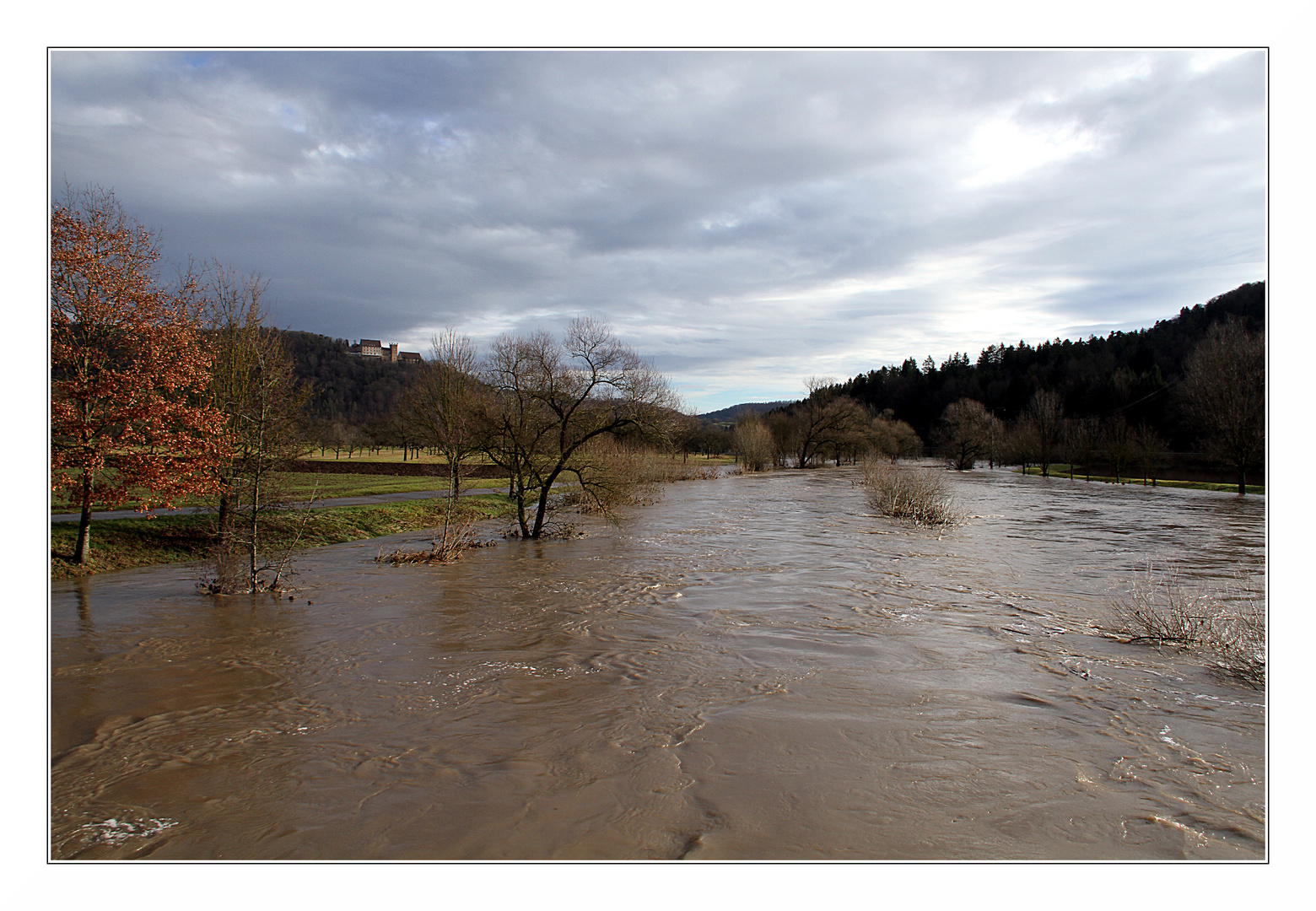 07 / 2018 Mittleres Neckarhochwasser bei Strazch mit Scloss Weitenburg