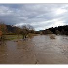 07 / 2018 Mittleres Neckarhochwasser bei Strazch mit Scloss Weitenburg