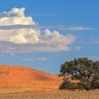 07. Namibia Wildlife Resorts Sesriem 