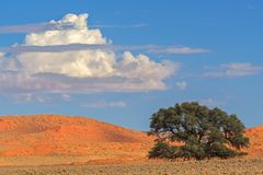 07. Namibia Wildlife Resorts Sesriem 