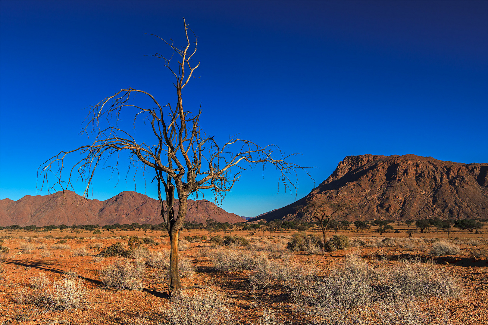 07. Namtib Desert lodge 