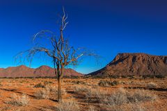 07. Namtib Desert lodge 