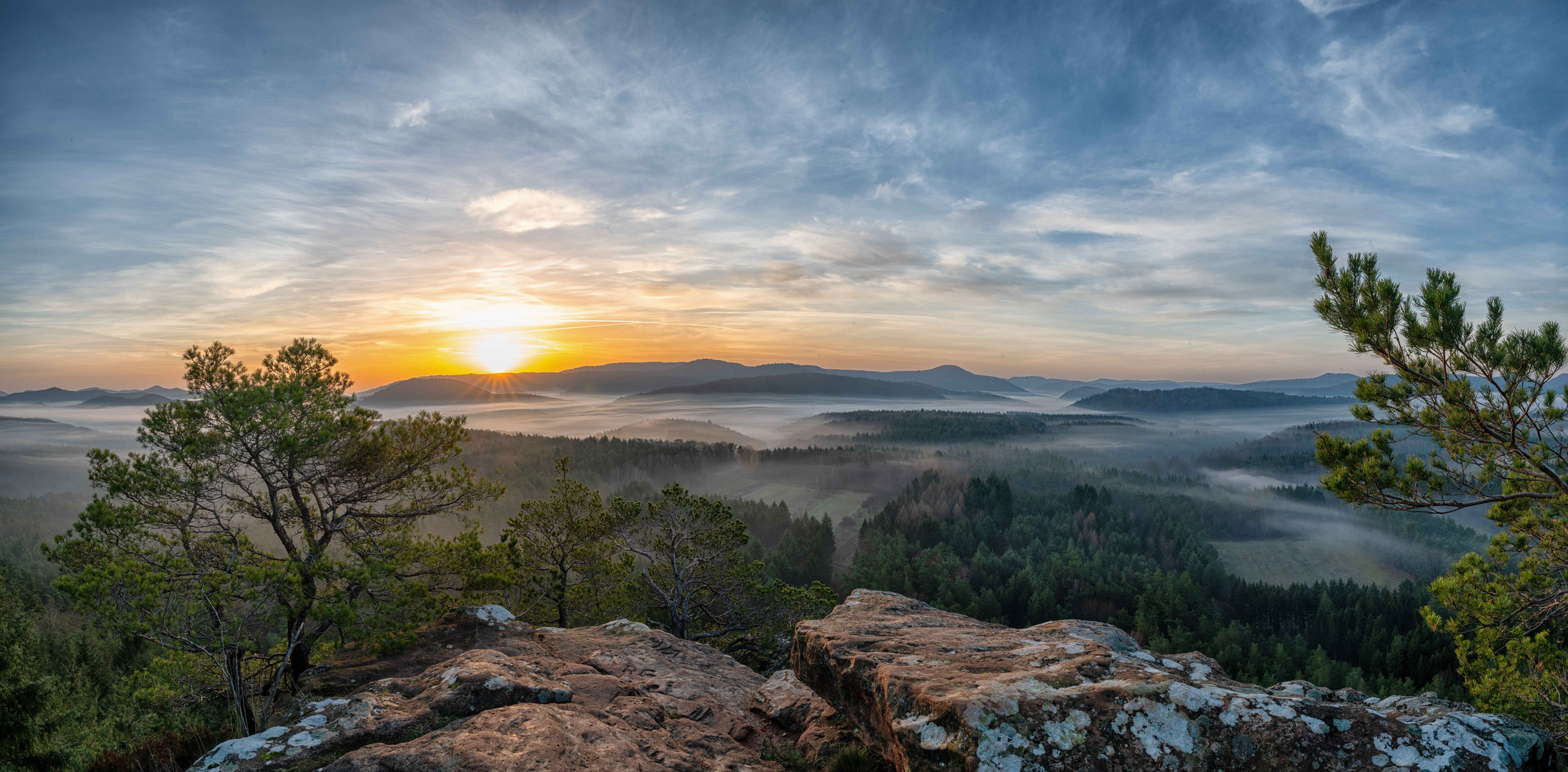 07 Uhr 30 im Pfälzer Wald Foto &amp; Bild | deutschland, europe, rheinland ...