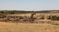 070 - 20160910 - Masai Mara - _MG_0782