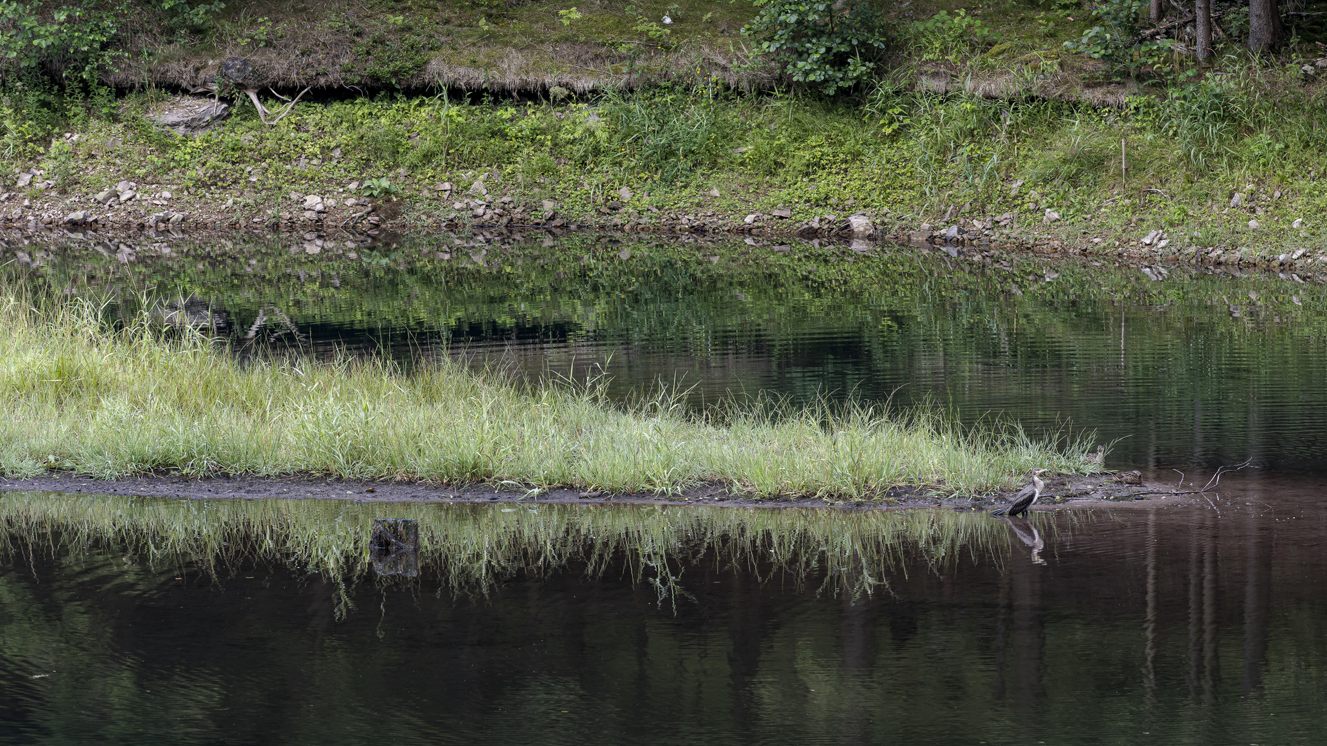 070 Kleine Biotope (bearbeitet)