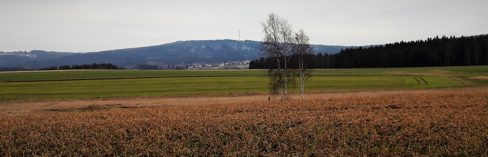 07.02.2020  Blick vom Wasserscheideweg (Nähe Lösten) zum Waldsteinsender  (Fichtelgebirge)