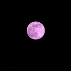 07/04/2020 Pink full moon.