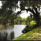 07044 - Middleton Place