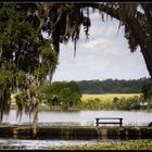 07077 - Middleton Place