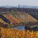 Weinberge am Neckar