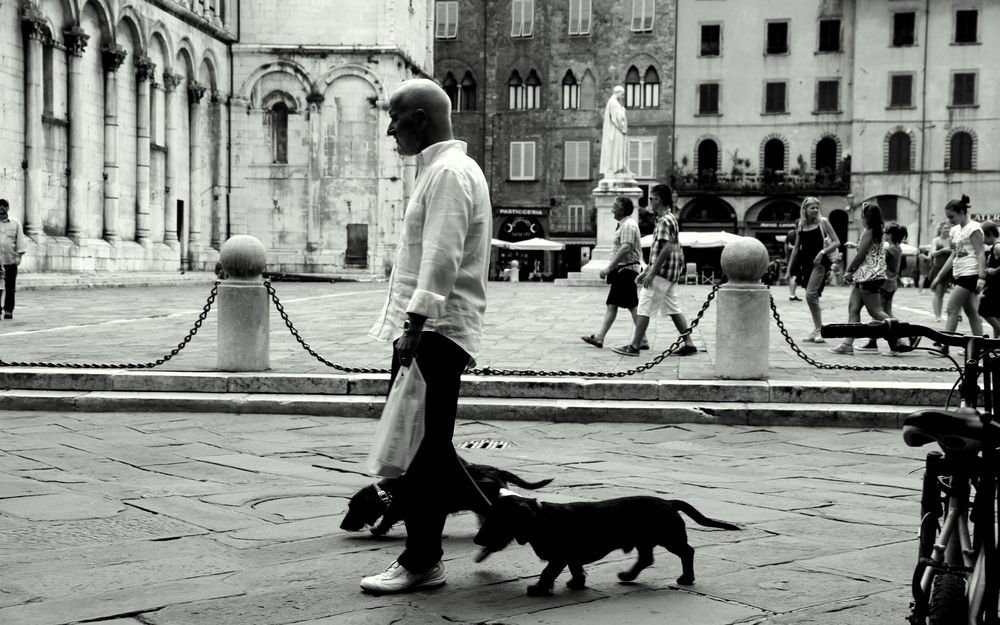 Man with Dogs and Newspaper von Beate Christine Hofmann 
