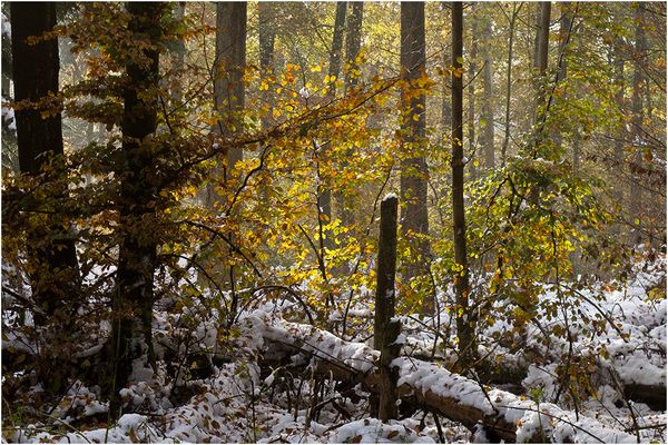 076 (16) Zu früh_Heinz Schaub