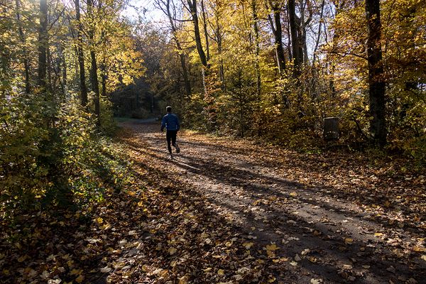 077 (47) Laufen_Heinz Schaub