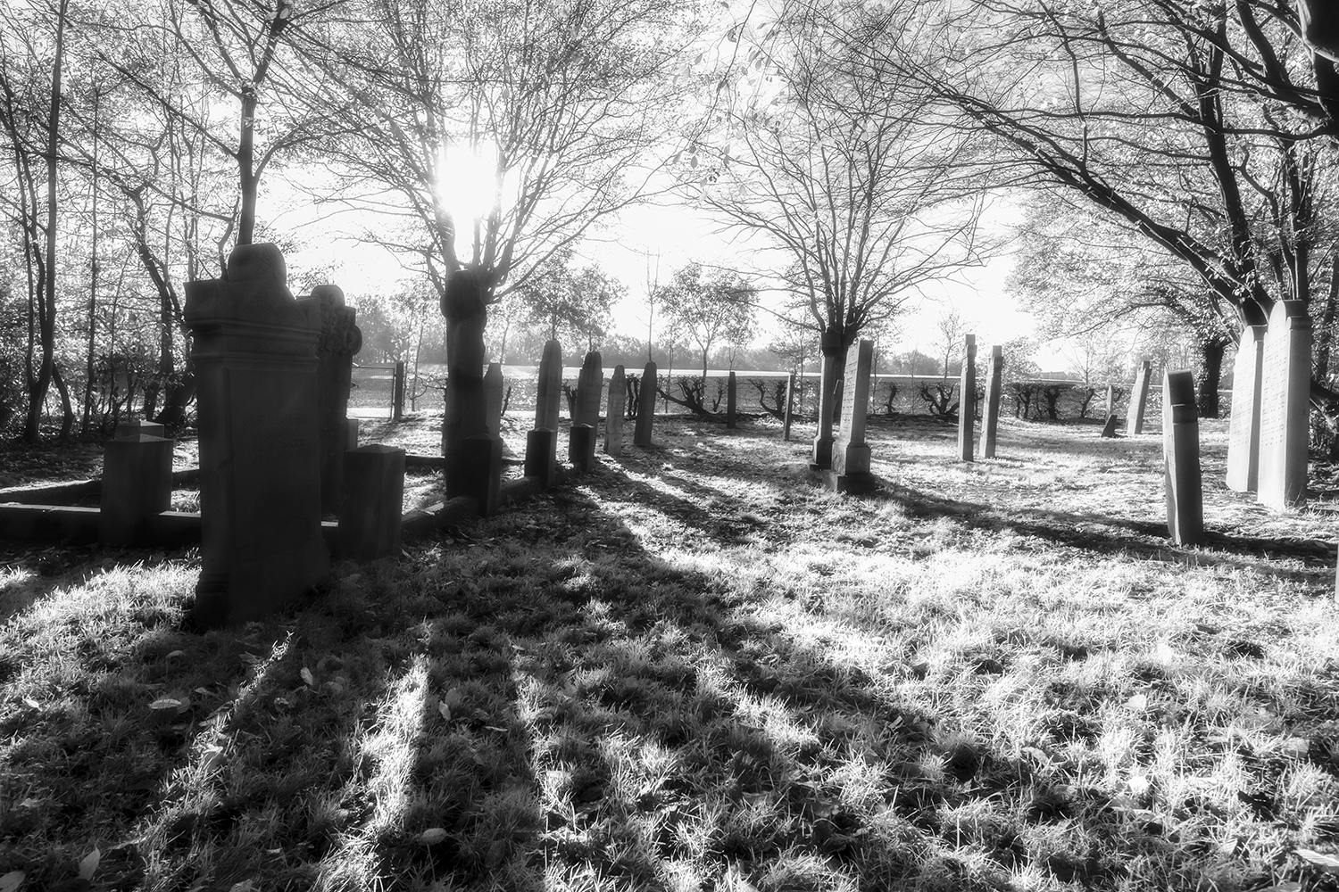 0776SC jüdischer Friedhof nähe Schlüsselburg SWIR