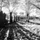 0776SC jüdischer Friedhof nähe Schlüsselburg SWIR