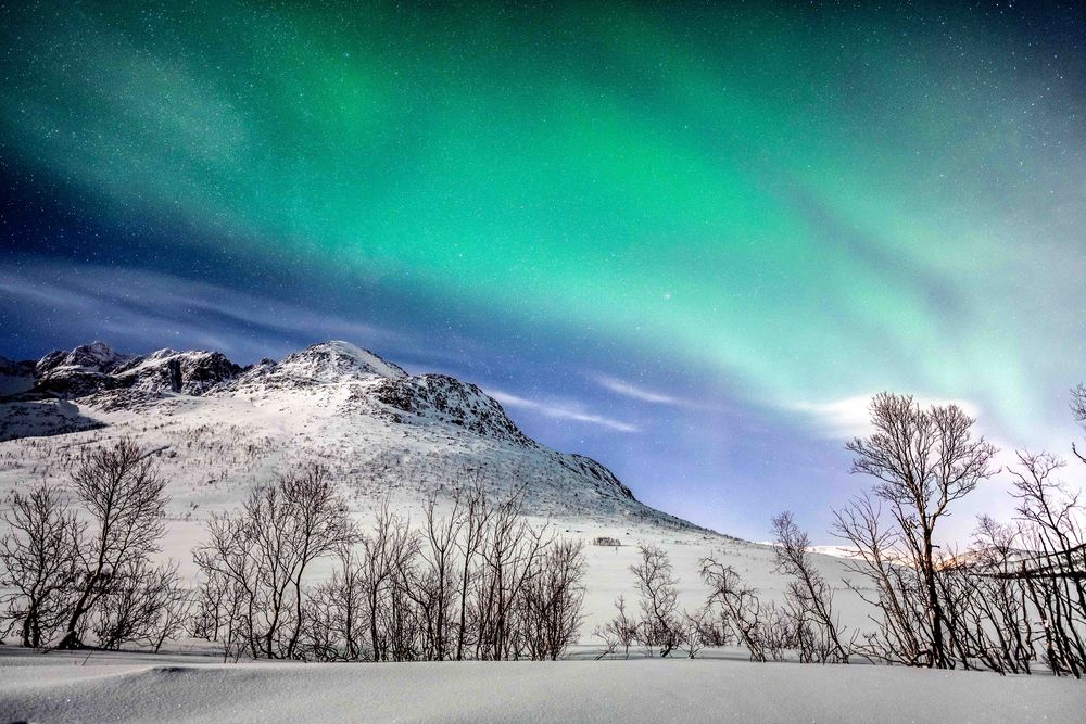 Nordlichter in Tromsö | Norwegen von Thorsten Schulz - Rheinefotografie