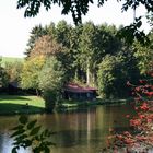 07951 Frühherbstimpression am Stausee Auw