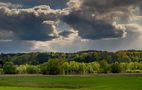 Elbufer im grünen Rausch by Elbe 536