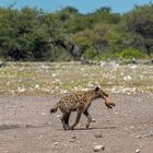 07_Erinnerung an Namibia April 2017