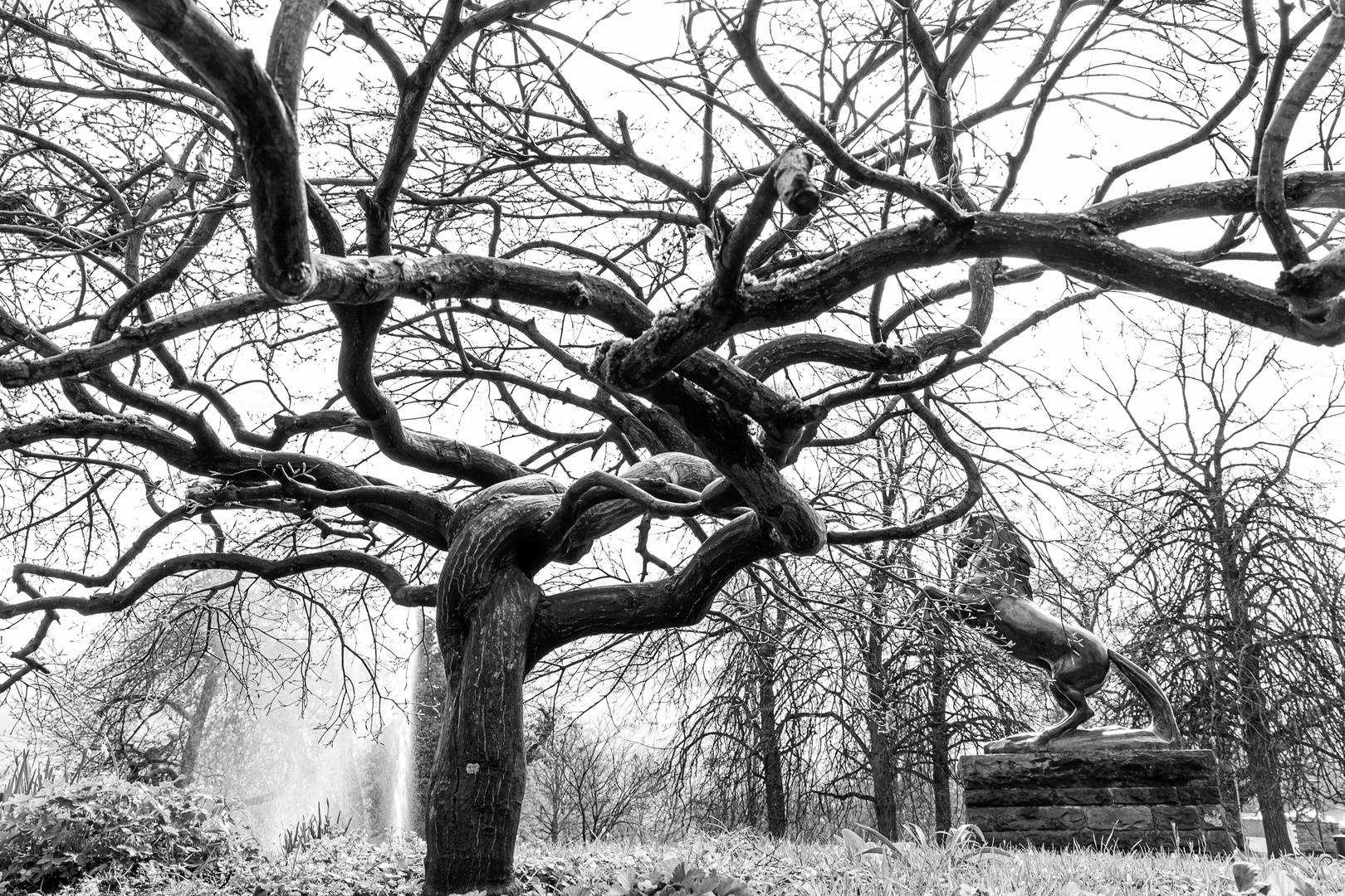 08 - Fotowalk Höhenpark Killesberg