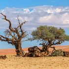 08. Namibia Wildlife Resorts Sesriem 