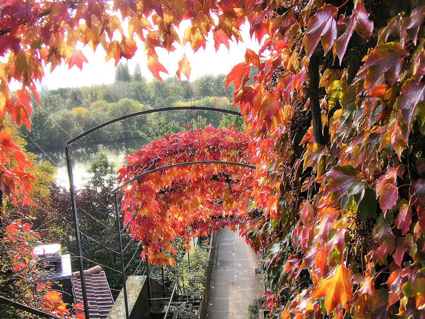 08-PA088051c -  Schlosstreppe mit wildem Herbstwein 2000x (künst.Glanz)