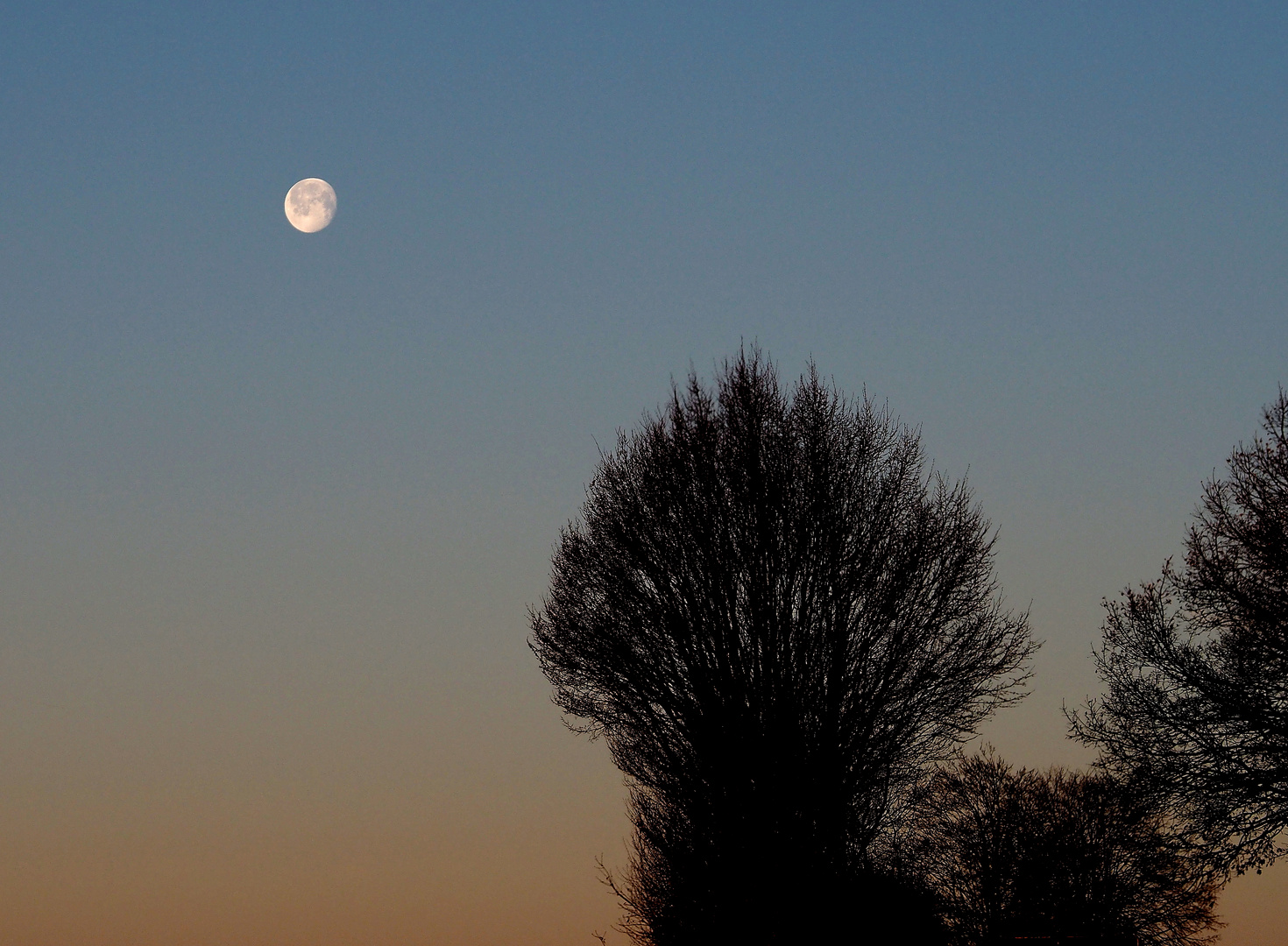 08.02.23 Mond ueber Wetterau