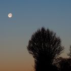 08.02.23 Mond ueber Wetterau