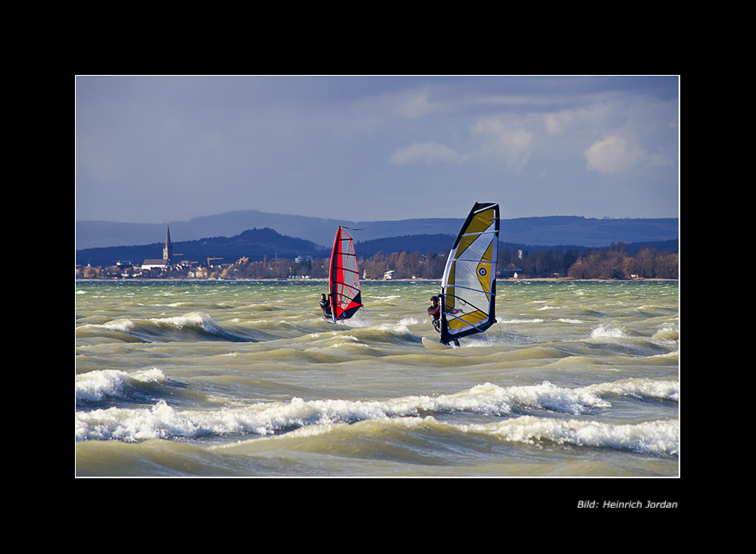 08040 Windsurfer, Bodensee (im Hintergrund Radolfzell).